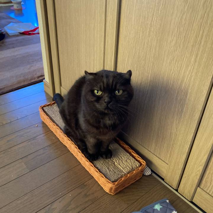 2f056141 549e 4f91 afb8 28a4aca6a764 1610074369582