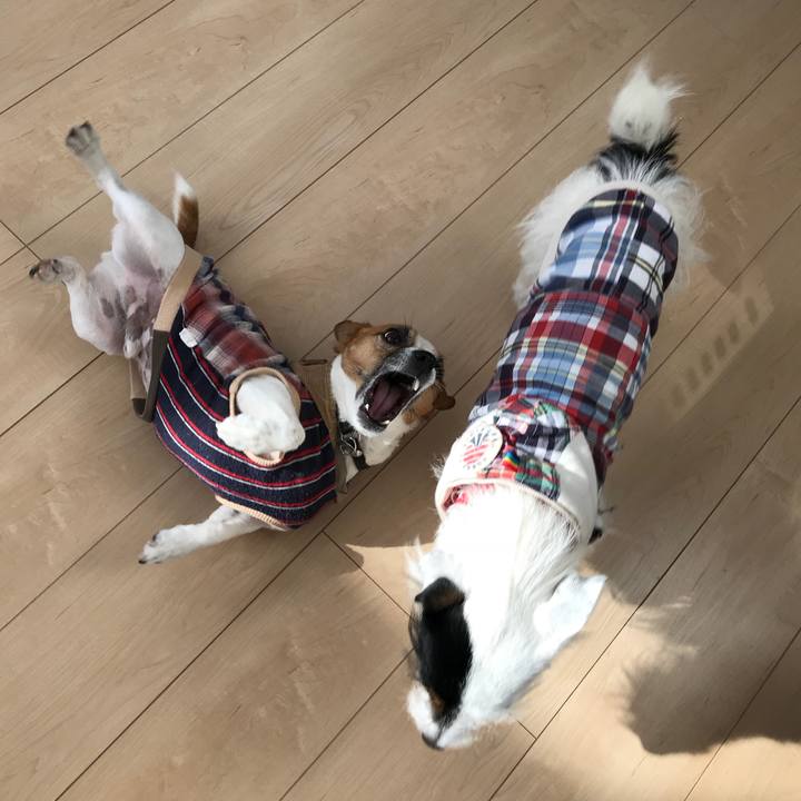 2f05615f 3047 470b 9c4f 67365860033c 1510445554679