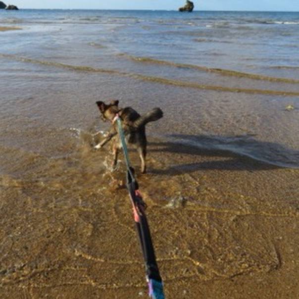 2f0571d7 1d2d 471e a953 04a30f7aa964 1576508062800