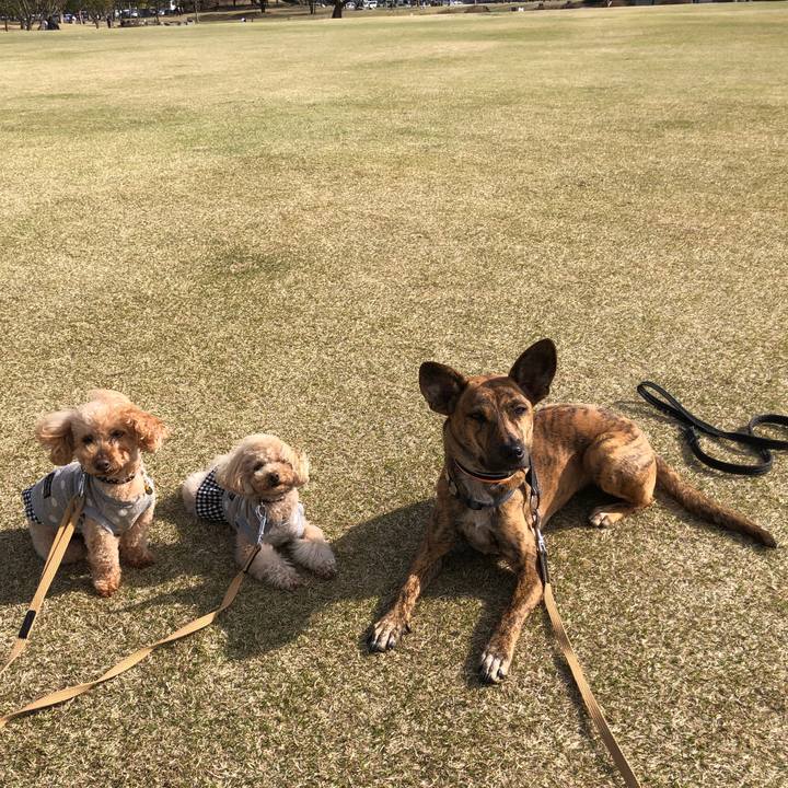 2f05a455 aab2 4722 a5fc 05e68e639acf 1584713974620