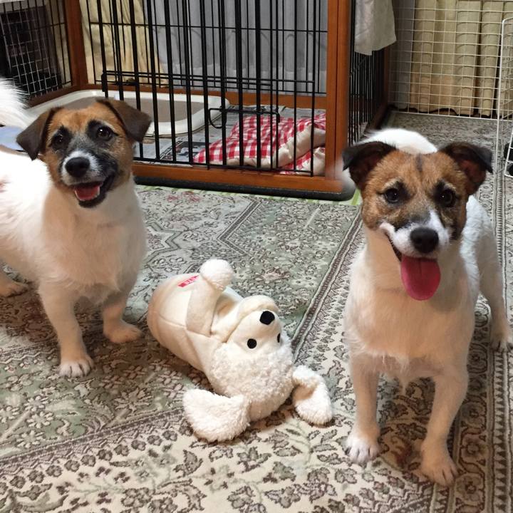 2f05a979 a14a 4b07 bf26 5f942204445a 1531229783162