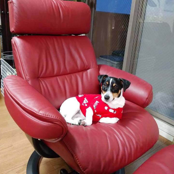 2f05b64d d38d 400c 85f4 2d704e27be8c 1579335081887