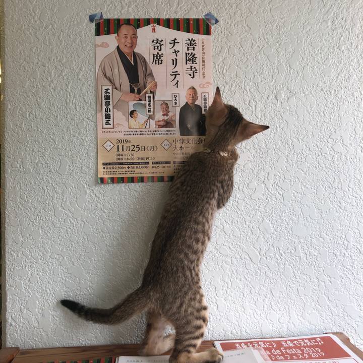 2f05e0bb 3c6c 4132 97dc 72591bc26aad 1578618990211