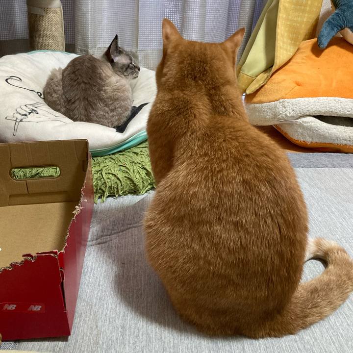 2f061a5b 189f 46df b515 055a2a308715 1764935217803