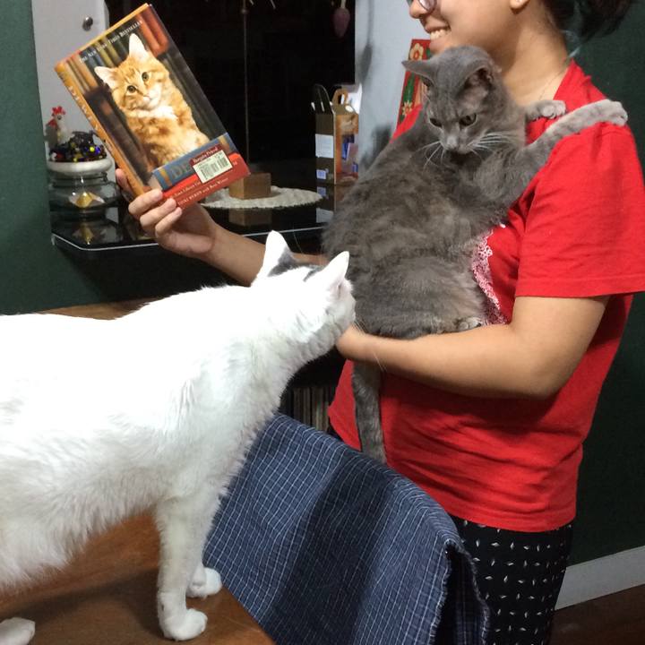 2f0636bf 0fc0 407e 8a90 8c9f1bd13b78 1525798806866