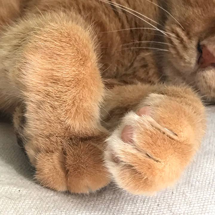 2f064cb8 ba40 4a25 902e c01c7909ec4b 1599804801807