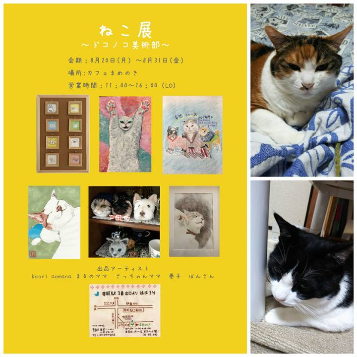 2f067239 2fe8 4165 a2dc 67e8223df68c 1533129778288