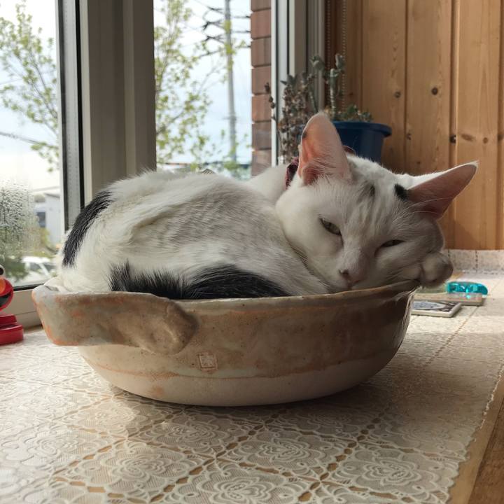 2f068a1f 1531 44b5 acd6 1b3ff8d4b653 1621555334068