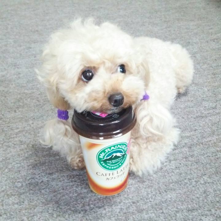 2f06a5eb 74fe 4d50 b603 a50d4a76b4c6 1531568664217