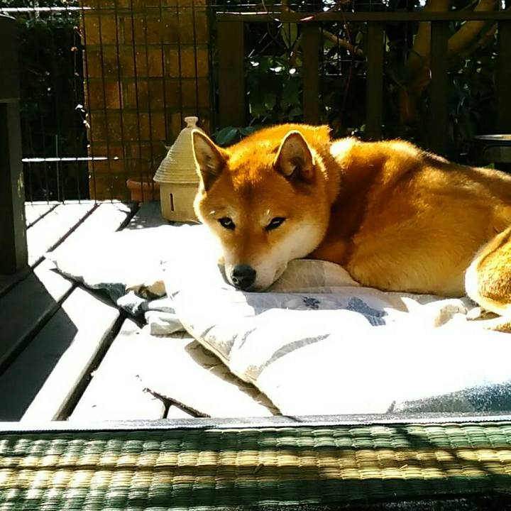 2f06c95a e9b9 4c77 bc4c 1e1c74eeaec8 1550454499028