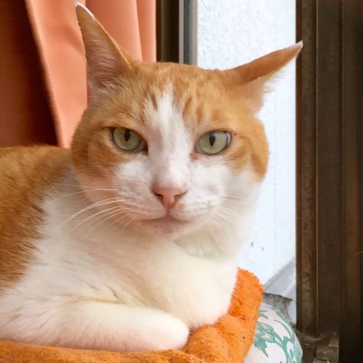 2f06da46 656a 4f1c bd49 83b1f8785d54 1563268705171