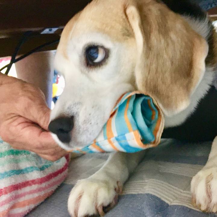 2f076eb6 9a3f 4f8d 82bb 225fd8a1bc32 1757233445561