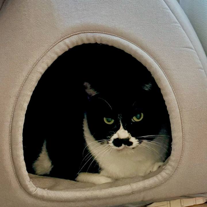 2f079449 2bb5 4a14 bc6b 984f36301771 1732161695291