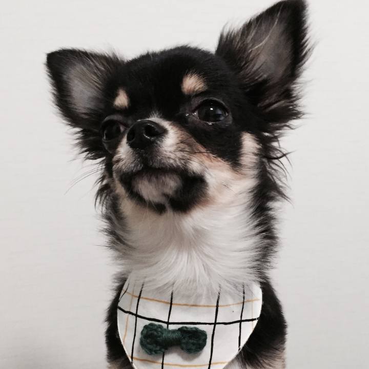 2f079b45 720a 47f4 bc7b 65d3181a40bb 1514099875063