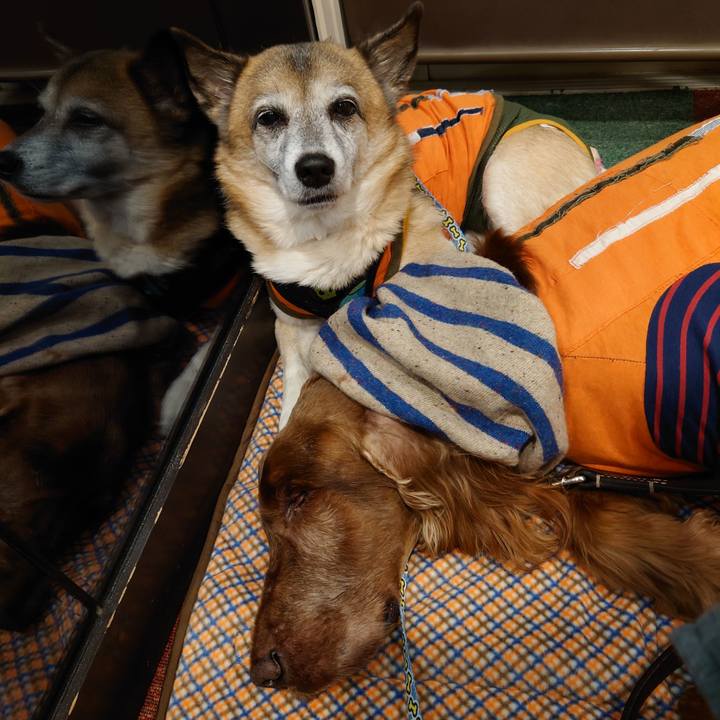 2f07a755 9b29 44c1 81be 27d22bb554f4 1609675839344