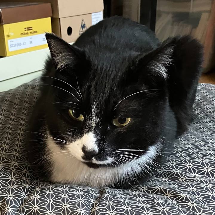 2f07abd1 68e6 4991 9618 d77ac849bc19 1682479826402