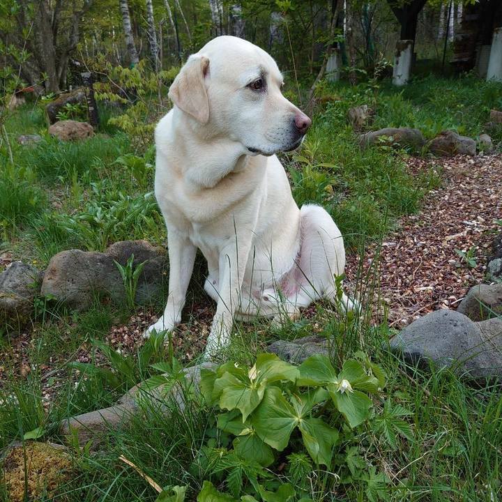 2f07b058 3f16 420a 951c c78b78d56c37 1685015317710