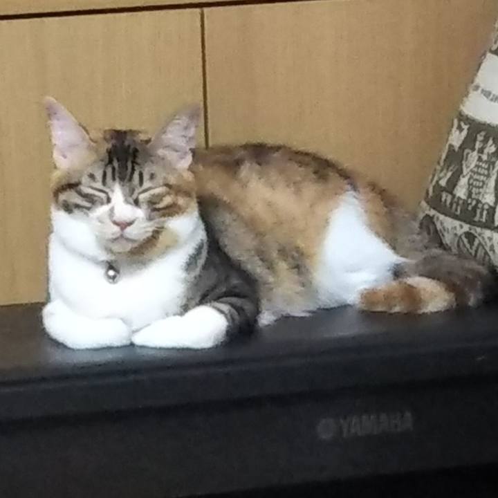 2f07c398 98e1 4805 b8a7 8cbe7152a50d 1664321957897