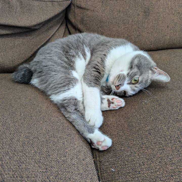 2f07d4f9 9291 4141 8ff1 052935af8160 1728956411129