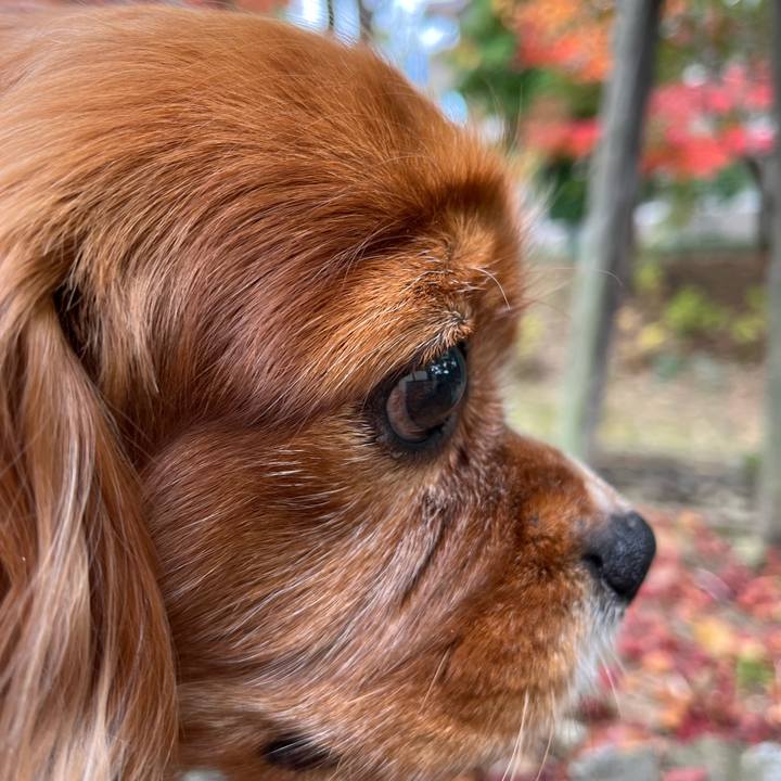 2f07edfd d94f 4ac1 8228 4d0fb585db33 1668920415657