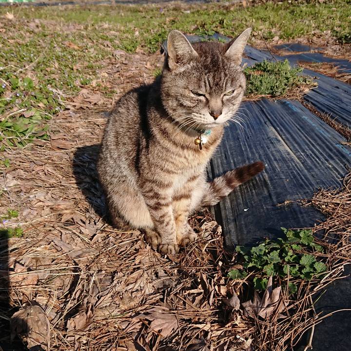 2f08045c 27d5 4bf6 95e8 7106a7ff0a27 1552717786396