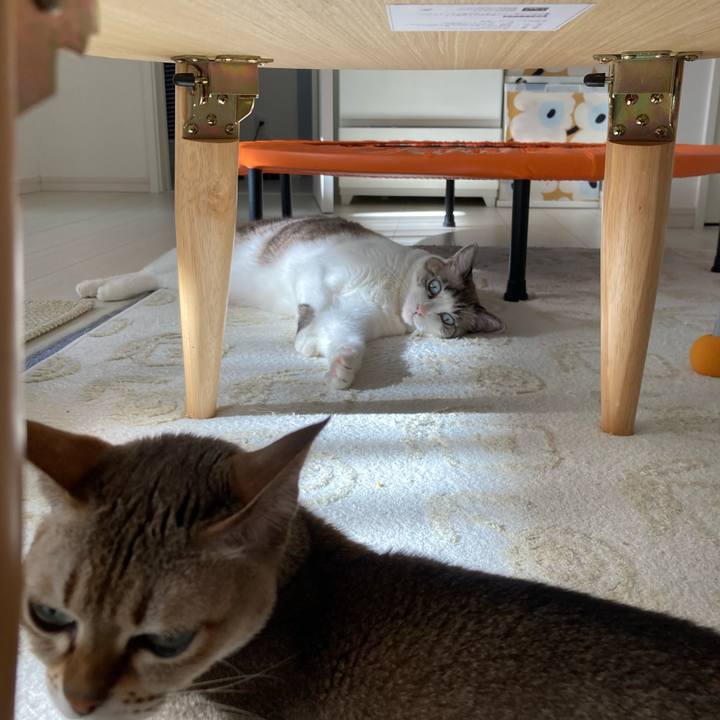 2f0809ff 2e4e 4363 82b1 67bf70cb0188 1698673871647