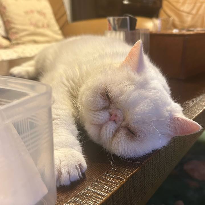 2f0810e8 f3c6 402d b5dc b369792e1db8 1690003178397