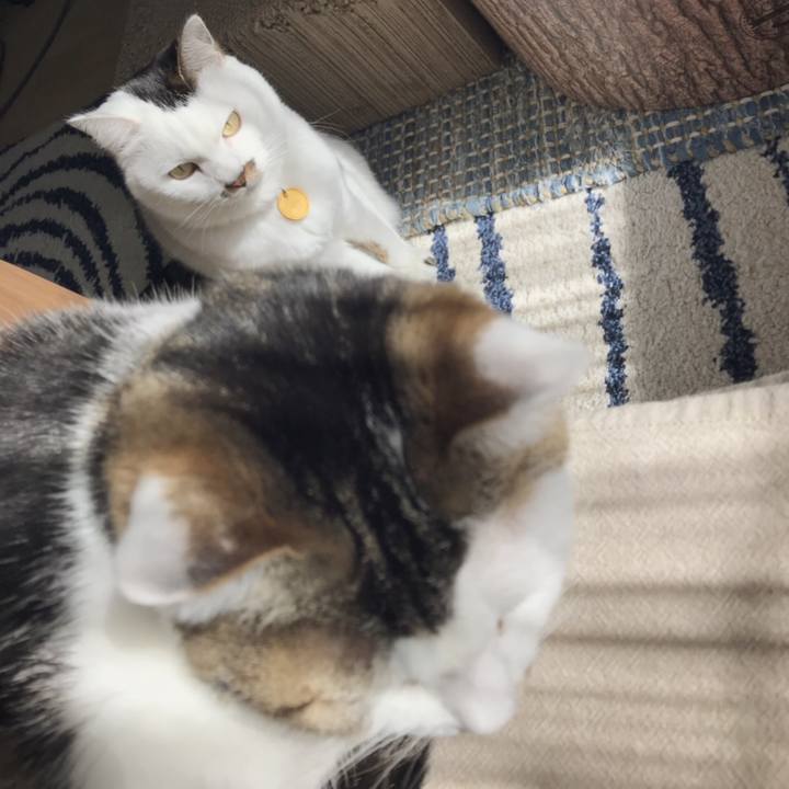 2f083d42 09ce 435a 8867 22f29c3cef12 1549000212865