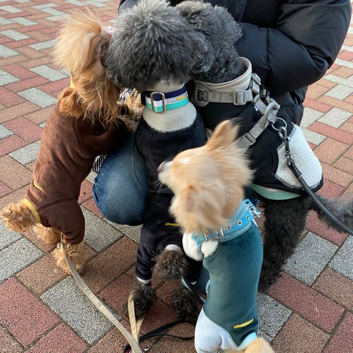 2f084680 b112 45b0 8b2b d129bd3551fb 1611876031910