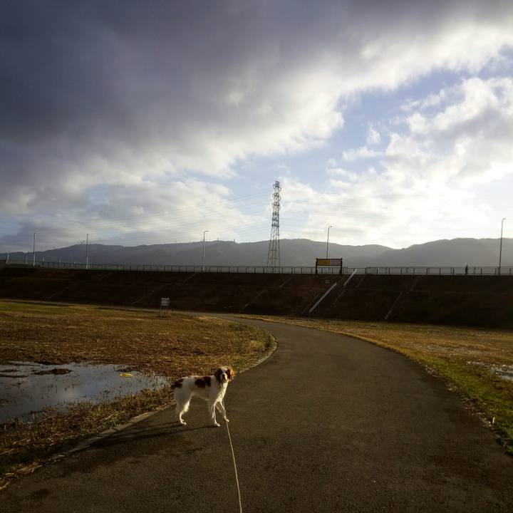 2f08a18a f604 44e7 9015 1c48e9ff1187 1520305260168