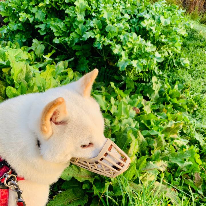 2f08b38a ed23 4863 88f6 3a4771b3570f 1570746488382