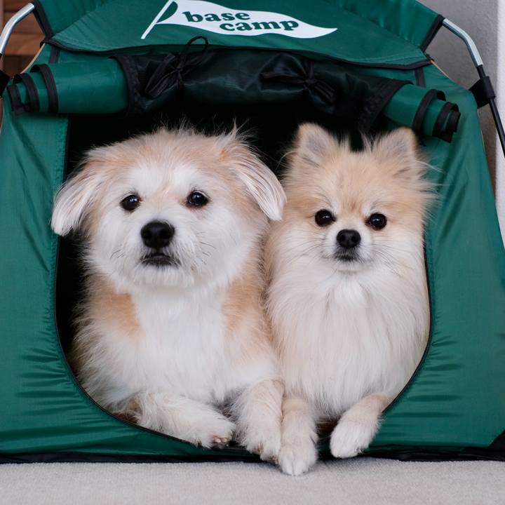 2f08e76d 0119 472d 96d4 7471f34315dc 1767393913042