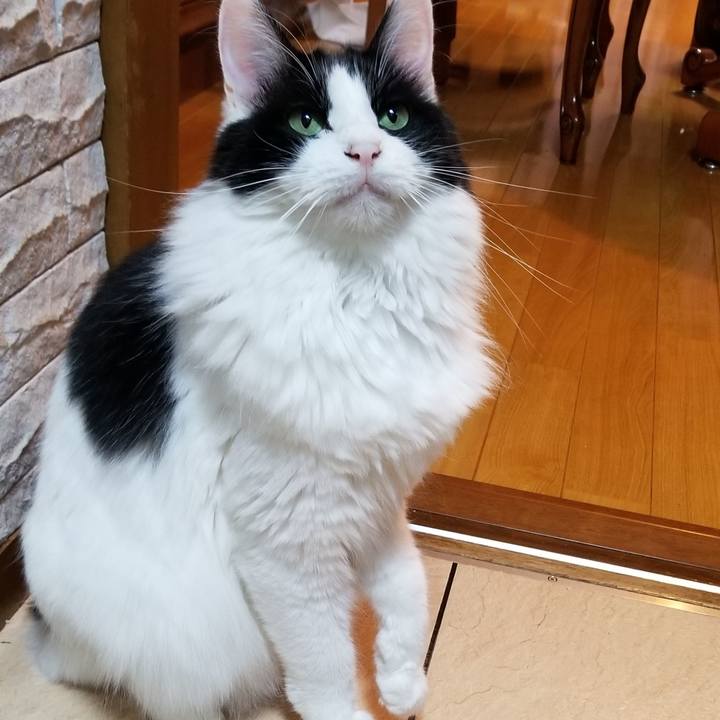 2f08fe5c 3e91 47f5 b00b 84b56686f3af 1573593740381