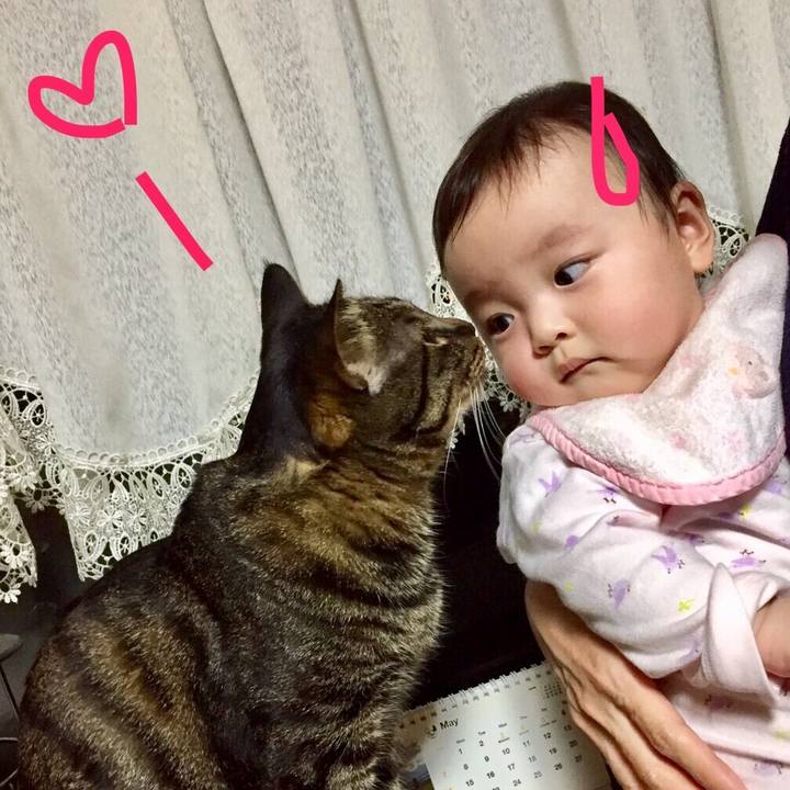 2f091a02 41a0 4c3e 81c9 63330ca4c2ee 1666961371153