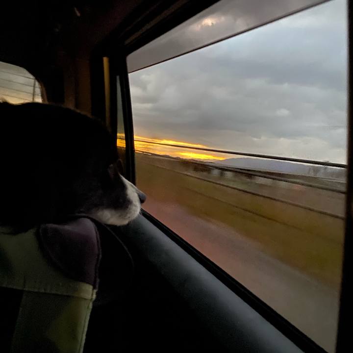 2f091c9a c336 4926 991d 3f3e3111021d 1639778064288