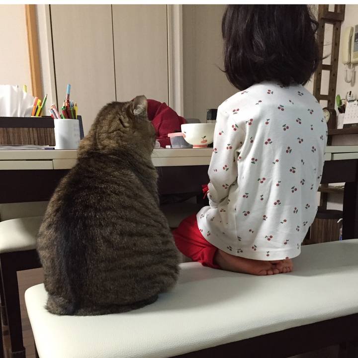 2f0979a3 ef16 487b 9dda ca361ea96006 1660824047090