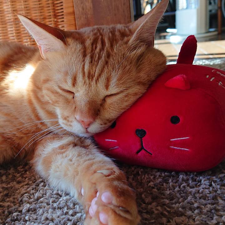 2f099ae2 9274 435f 8723 ac07f48edb55 1543038655758