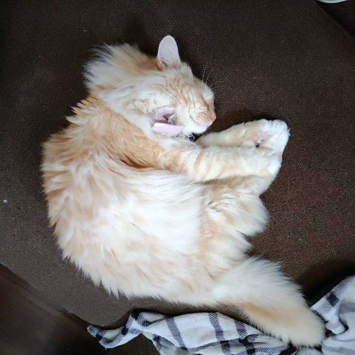 2f09f53e 6f71 4af5 809b f3962b98751f 1718244248592