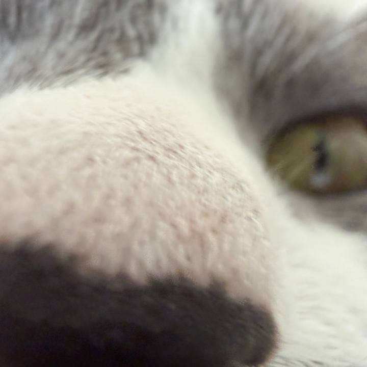 2f09ff21 c61a 4cb2 b47c 2e4146e3e1b7 1762476546802