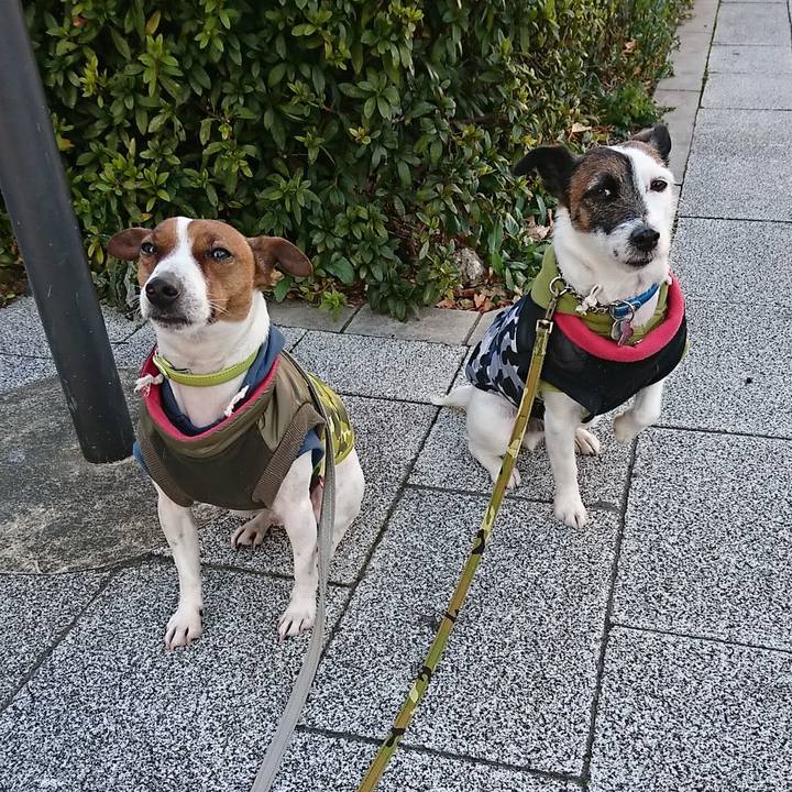 2f0a32d5 395d 4c93 b832 a765bdca5af4 1581030057679