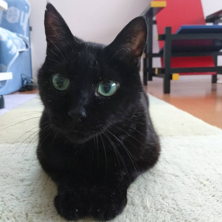 2f0a3838 4adc 4d17 a2a6 f82340a05798 1540864030537