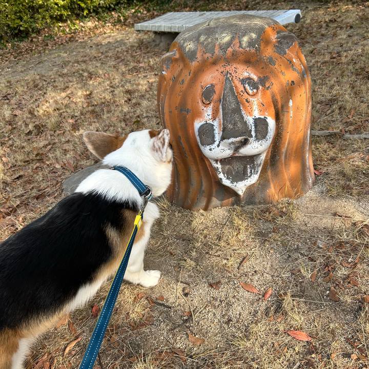 2f0a5318 4eab 4f9e b203 a001670beaed 1769497717225