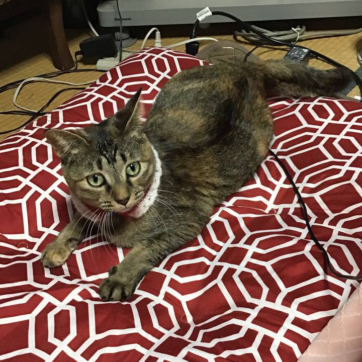 2f0a9630 1c02 46a4 bc68 216c73e021c8 1609916129284