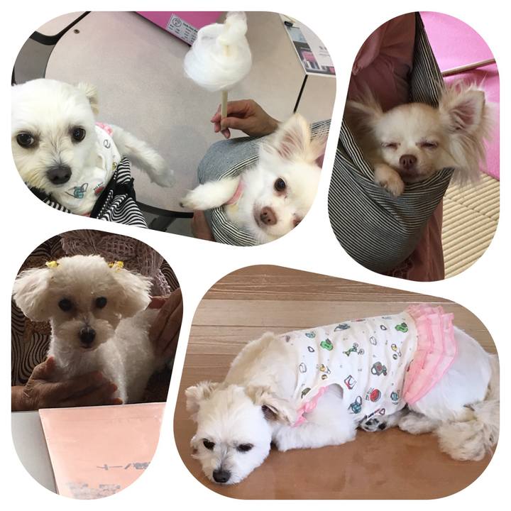 2f0ab990 9c45 404d b1ac c596d9baae71 1534732311870