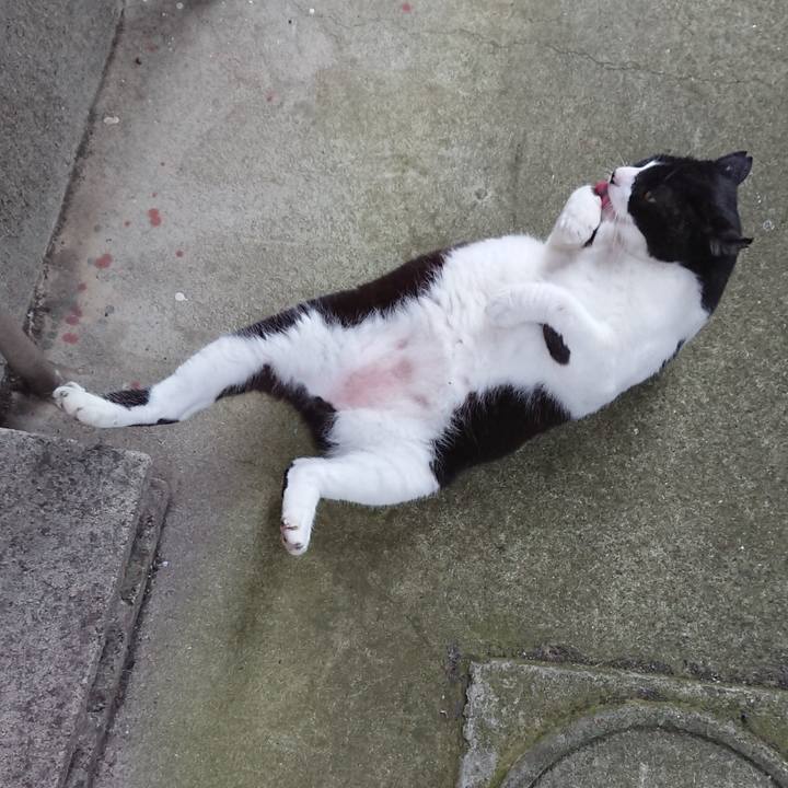 2f0af4c9 952c 4908 bd0d 1e8b9e13d135 1596012099108