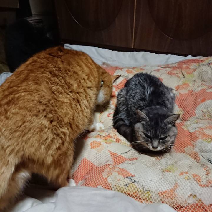 2f0b071c 6eff 41a6 8ebc 8fb352a1a114 1581422266764