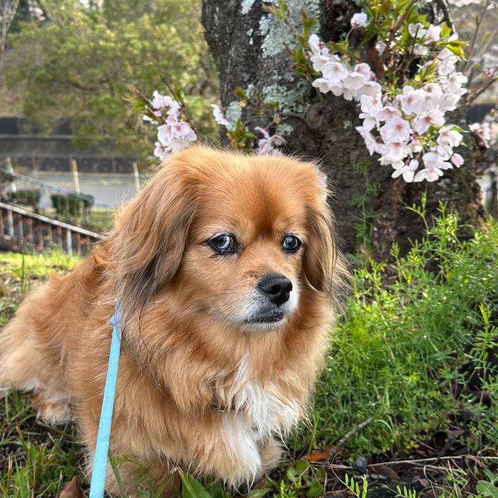 2f0b0c8a 8744 4842 86ad fea0d305c0be 1712360173496