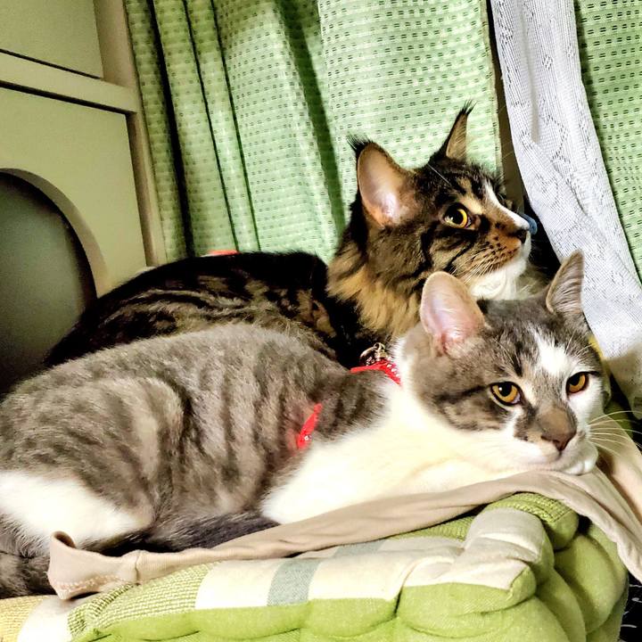 2f0b2c71 ba54 4efc 8344 859abc932374 1679120858549