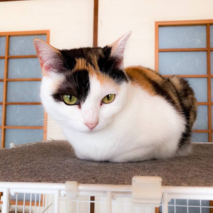 2f0b5ec1 8558 4919 b473 bc7407faa056 1562722460774