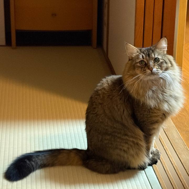 2f0b6004 eec1 4c59 aa1f a918fcfd8508 1764974556539